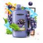 Elf Bar GH 23000 Grape Ice 5% Elf Bar GH 23000 Grape Ice 5%
