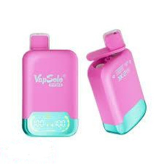 VapSolo Twins 20000 - Strawberry Raspberry Cherry Ice & Grape Ice 5%